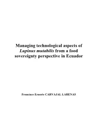 Managing Technological Aspects of Lupinus Mutabilis from a Food Sovereignty Perspective in Ecuador