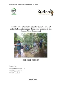 Detailed Report