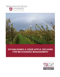 Establishing a Cider Apple Orchard for Mechanized Management