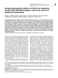 Keratinocyte-Specific Ablation of the NF-&Kappa