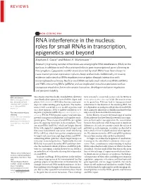 RNA Interference in the Nucleus: Roles for Small Rnas in Transcription, Epigenetics and Beyond
