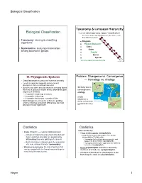 Biological Classification Cladistics Cladistics