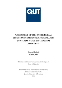 Effect of Biomimicked Nanopillars of Cicada Wings on Titanium Implants
