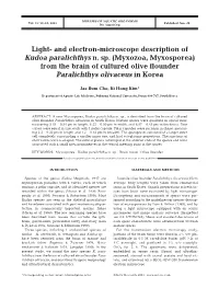 Light-And Electron-Microscope Description of Kudoa Paralichthys N