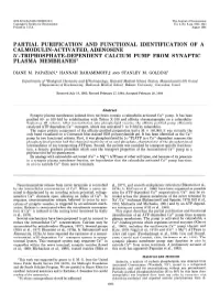 1933.Full.Pdf