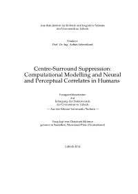 Centre-Surround Suppression: Computational Modelling and Neural and Perceptual Correlates in Humans