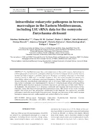 Intracellular Eukaryotic Pathogens in Brown Macroalgae in the Eastern Mediterranean, Including LSU Rrna Data for the Oomycete Eurychasma Dicksonii