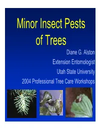 Minor Insect Pests of Trees Diane G