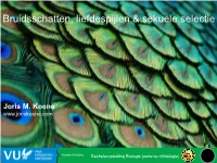 Principles of Animal Behavior, Third Edition