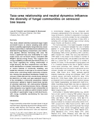 Taxaarea Relationship and Neutral Dynamics Influence the Diversity Of