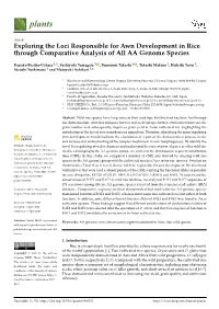 Exploring the Loci Responsible for Awn Development in Rice Through Comparative Analysis of All AA Genome Species