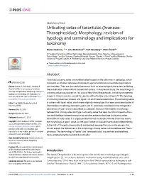 Urticating Setae of Tarantulas (Araneae: Theraphosidae): Morphology, Revision of Typology and Terminology and Implications for Taxonomy