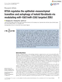 BTXA Regulates the Epithelial–Mesenchymal Transition and Autophagy of Keloid Fibroblasts Via Modulating Mir-1587/Mir-2392 Targ