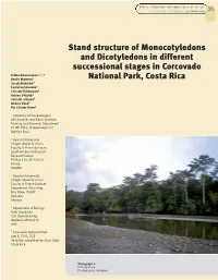 Stand Structure of Monocotyledons and Dicotyledons in Different