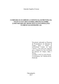 Universidade Federal De Santa Catarina, Como Parte Dos Requisitos Para a Obtenção Do Grau De Mestre Em Biologia De Fungos, Algas E Plantas