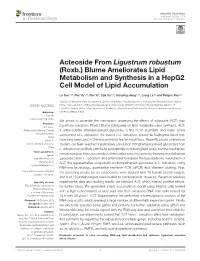 Acteoside from Ligustrum Robustum (Roxb.) Blume Ameliorates Lipid Metabolism and Synthesis in a Hepg2 Cell Model of Lipid Accumulation