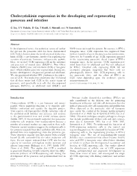 Cholecystokinin Expression in the Developing and Regenerating Pancreas and Intestine