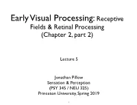 Early Visual Processing: Receptive Fields & Retinal Processing (Chapter 2, Part 2)