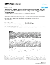 Quantitative Analysis of Replication-Related Mutation And
