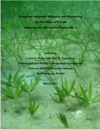 Seagrass Integrated Mapping and Monitoring for the State of Florida Mapping and Monitoring Report No. 1