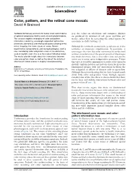 Color, Pattern, and the Retinal Cone Mosaic
