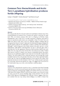 Common Tern Sterna Hirundo and Arctic Tern S. Paradisaea Hybridization Produces Fertile Offspring