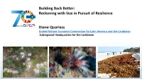 Reckoning with Size in Pursuit of Resilience