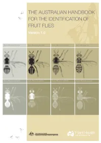 THE AUSTRALIAN HANDBOOK for the IDENTIFICATION of FRUIT FLIES Version 1.0
