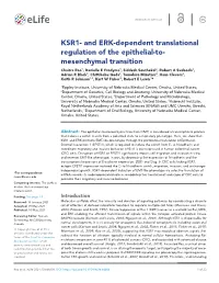 Dependent Translational Regulation of the Epithelial