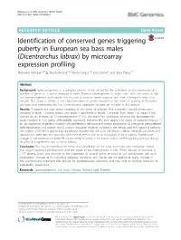 Identification of Conserved Genes Triggering Puberty in European Sea