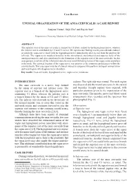 Unusual Organization of the Ansa Cervicalis: a Case Report