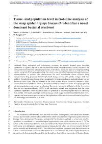 And Population-Level Microbiome Analysis of the Wasp