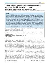Loss of Tgif Function Causes Holoprosencephaly by Disrupting the Shh Signaling Pathway