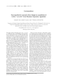 Non-Reproductive Seasonal Colour Change in a Population of Calotes “Versicolor” from Myanmar (Squamata: Agamidae)