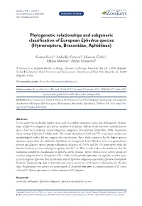 ﻿Phylogenetic Relationships and Subgeneric Classification of European