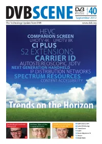S2 Extensions Carrier Id Autostereoscopic 3Dtv Next Generation Handheld Ip Distribution Networks Spectrum Resources Content Accessibility