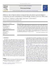 Different Roles of Lateral Anterior Temporal Lobe and Inferior Parietal Lobule in Coding Function and Manipulation Tool Knowledge: Evidence from an Rtms Study