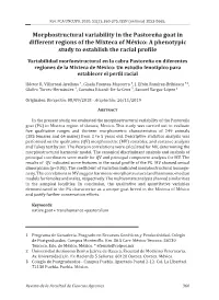 Morphostructural Variability in the Pastoreña Goat in Different Regions of the Mixteca of México: a Phenotypic Study to Establish the Racial Profile