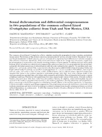 Sexual Dichromatism and Differential Conspicuousness in Two Populations of the Common Collared Lizard (Crotaphytus Collaris) from Utah and New Mexico, USA