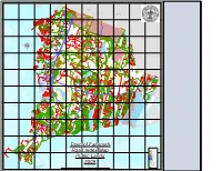 2009 Road Map Index (PDF)