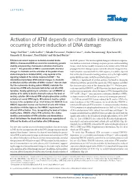 Activation of ATM Depends on Chromatin Interactions Occurring Before Induction of DNA Damage