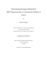 Determining the Impact Diminished RBX1 Expression Has on Chromosome Stability in Cancer