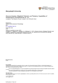 Genome Analysis, Metabolic Potential and Predatory Capabilities of Herpetosiphon Llansteffanense Sp. Nov