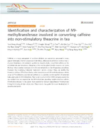 Identification and Characterization of N 9-Methyltransferase Involved In