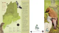 State of Maine Birding Map and Trail Guide