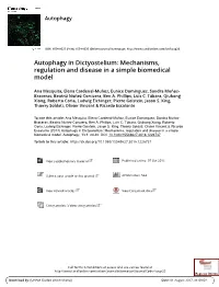 Autophagy in Dictyostelium: Mechanisms, Regulation and Disease in a Simple Biomedical Model
