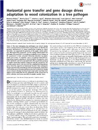 Horizontal Gene Transfer and Gene Dosage Drives Adaptation to Wood Colonization in a Tree Pathogen