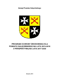 POS Pow Sulecinski