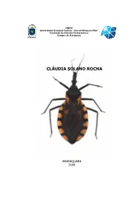 Rocha Cs Me Arafcf.Pdf