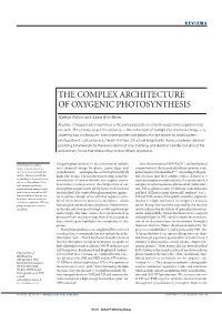 The Complex Architecture of Oxygenic Photosynthesis